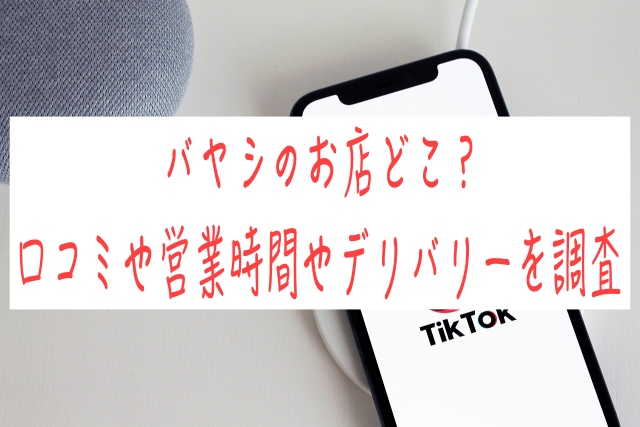 バヤシのお店どこ？口コミや営業時間やデリバリーを調査